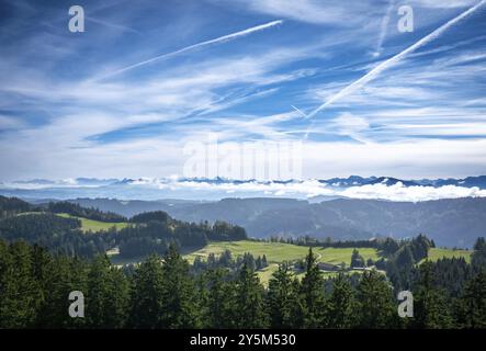 Blick auf die Alpen vom Allgäu Stockfoto