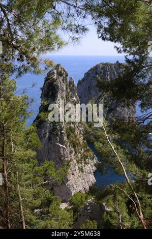 Capri ist eine Insel im Tyrrhenischen Meer vor der Sorrentinischen Halbinsel, auf der Südseite des Golfs von Neapel in der Region Kampanien Stockfoto