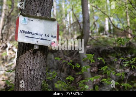 Wandern im Selke Valley, Wegweiser der Wanderwege Stockfoto