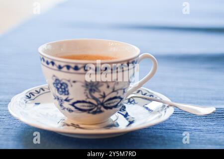 Kaffeeset aus blauem und weißem Porzellan Stockfoto