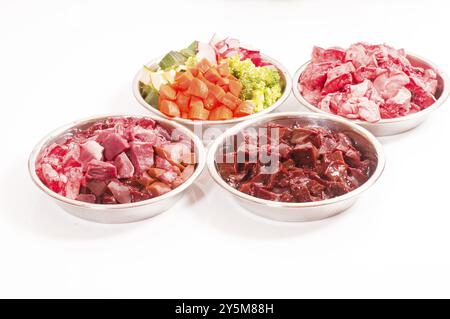 BARF: Rohes Fleisch und Schlachtnebenerzeugnisse, verschiedene Arten, mit Gemüse und Obst, fertig zubereitet, geschnitten und püriert Stockfoto
