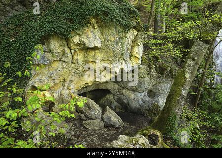 Schiller Höhle bei Hohenwittlingensteig, Biosphärenreservat Schwäbische Alb, Baden-Württemberg, Deutschland, Biosphärenreservat Schwäbische Alb, Schiller Höhle bei t Stockfoto