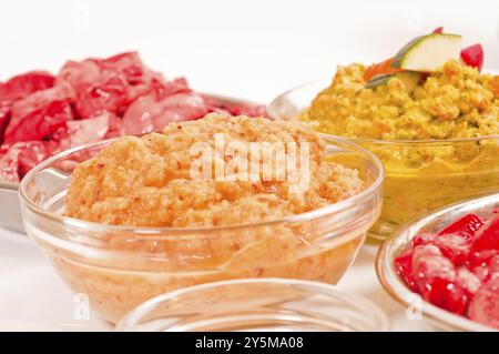 BARF: Rohes Fleisch und Schlachtnebenerzeugnisse, verschiedene Arten, mit Gemüse und Obst, fertig zubereitet, geschnitten und püriert Stockfoto