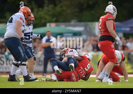 Weingarten, Deutschland. Januar 2016. ABl. Thompson (9, DE, New Yorker Lions Braunschweig) stoppt Michael Mayer (3, WR, ifm Razorbacks Ravensburg) GER, ifm Ravensburg Razorbacks vs New Yorker Lions Braunschweig, American Football, GFL, Saison 2024, Playoffs, Viertelfinale, 22.09.2024, Eibner-Pressefoto/Florian Wolf Credit: dpa/Alamy Live News Stockfoto