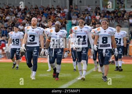 Weingarten, Deutschland. Januar 2016. Kapitaene auf dem Weg zum Cointoss mit Michael Mayer (3, WR, ifm Razorbacks Ravensburg), Lennies Mc Ferren (11, RB, ifm Razorbacks Ravensburg), Niklas Herrmann (21, DB, ifm Razorbacks Ravensburg) und Alex Mashak (8, DB, ifm Razorbacks Ravensburg) GER, ifm Ravensburg Razorbacks vs New Yorker Lions Braunschweig, American Football, GFL, Saison 2024, Playoffs, Viertelfinale, 22.09.2024, Eibner-Pressefoto/Florian Wolf Credit: dpa/Alamy Live News Stockfoto