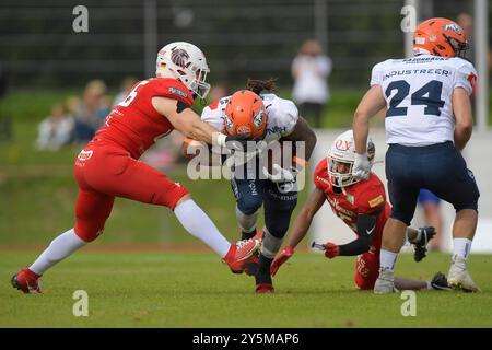 Weingarten, Deutschland. Januar 2016. Lennies Mc Ferren (11, RB, ifm Razorbacks Ravensburg) GER, ifm Ravensburg Razorbacks vs New Yorker Lions Braunschweig, American Football, GFL, Saison 2024, Playoffs, Viertelfinale, 22.09.2024, Eibner-Pressefoto/Florian Wolf Credit: dpa/Alamy Live News Stockfoto