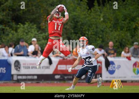 Weingarten, Deutschland. Januar 2016. Catch von Luc Meacham (17, WR, New Yorker Lions Braunschweig) vor Nick Dezel (33, DB, ifm Razorbacks Ravensburg) GER, ifm Ravensburg Razorbacks vs New Yorker Lions Braunschweig, American Football, GFL, Saison 2024, Playoffs, Viertelfinale, 22.09.2024, Eibner-Pressefoto/Florian Wolf Credit: dpa/Alamy Live News Stockfoto