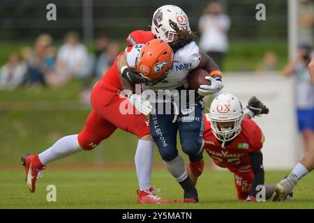 Weingarten, Deutschland. Januar 2016. Lennies Mc Ferren (11, RB, ifm Razorbacks Ravensburg) GER, ifm Ravensburg Razorbacks vs New Yorker Lions Braunschweig, American Football, GFL, Saison 2024, Playoffs, Viertelfinale, 22.09.2024, Eibner-Pressefoto/Florian Wolf Credit: dpa/Alamy Live News Stockfoto