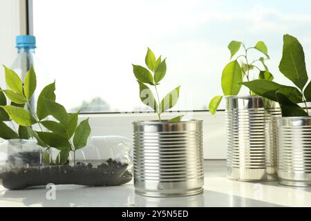 Recyclingkonzept. Metalldosen und Plastikflaschen mit Pflanzen auf Fensterbank Stockfoto