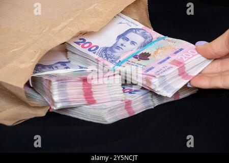 Die Hand einer Frau nimmt Päckchen ukrainischer Hrywnja heraus, die in einer Papiertüte auf schwarzem Hintergrund liegen, Geld und Gewinn, 200 Hrywnja in Päckchen Stockfoto
