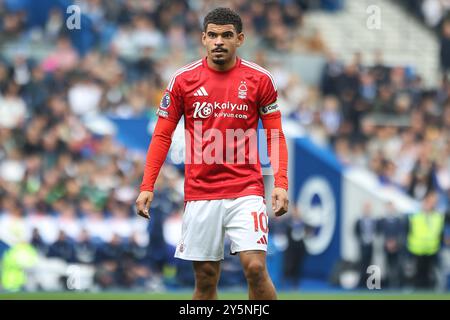 Morgan Gibbs-White von Nottingham Forest FC im AMEX Stadium in Brighton Stockfoto