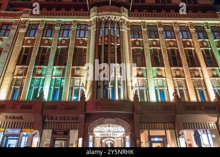 Speck Hof in Leipzig. Speck Hof ist die älteste noch erhaltene Ladenpassage der Stadt Leipzig. *** Neckt Hof in Leipzig. Der Speck Hof ist die älteste erhaltene Einkaufspassage der Stadt Leipzig. Sachsen Deutschland, Deutschland GMS16781 Stockfoto