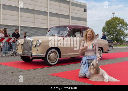 Rom, Italien, 22. September 2024. Motori Capitale ist eine renommierte Ausstellung, die sich dem historischen Motorsport widmet und das Interesse und die Leidenschaft für historische oder alte motorisierte Fahrzeuge wie Autos, Motorräder, Lastwagen, Busse und andere Transportmittel aus vergangenen Jahren erinnert. Teilnehmer am Wettbewerb „Motori A 4 Zampe“ (vierbeinige Motoren), einem Schönheits- und Eleganz-Wettbewerb für Autos und Hunde. Veranstaltung im Nuova Fiera di Roma Complex in Rom, Italien. Quelle: Brad Sterling/Alamy Live News Stockfoto