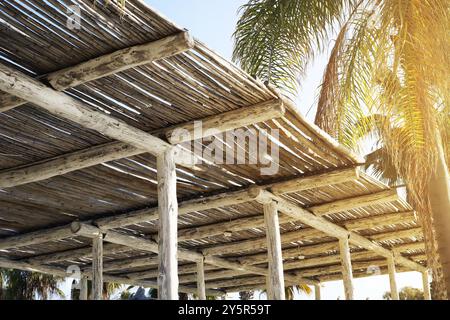 Bambuspergola, die Schatten unter dem Sonnenlicht wirft, umgeben von hohen Palmen in tropischer Umgebung, die eine warme und entspannende Atmosphäre hervorrufen. Stockfoto