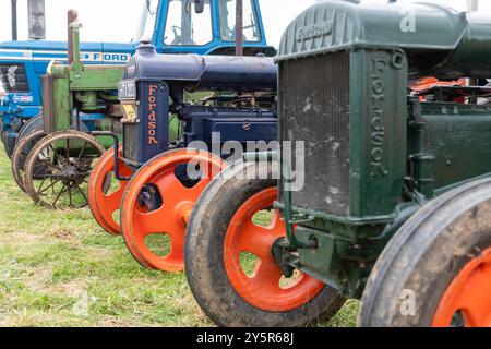 Low Ham.Somerset.Vereinigtes Königreich. 20. Juli 2024. Eine Reihe von Oldtimer-Traktoren, darunter ein Paar Standard Fordsons, ist auf der Somerset Steam and Co zu sehen Stockfoto
