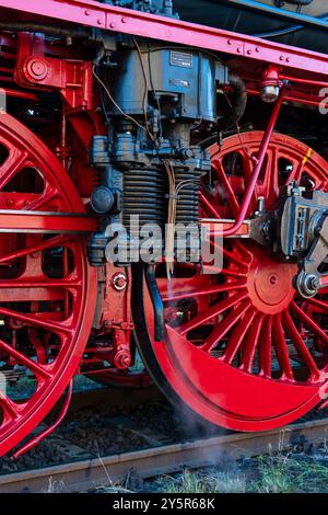 Berlin, 22. September 2024: Ein Eisenbahnfest findet im Bahnbetriebswerk Schöneweide statt. Stockfoto