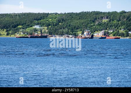 Rostige Lastkähne in Forest Field, Neufundland & Labrador, Kanada Stockfoto