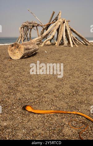 Kelp and Beach Shack am Moonstone Beach inn Cambria, Kalifornien. Stockfoto