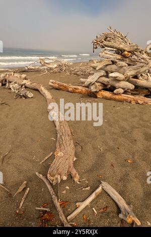 Driftwood Beach Shack am Moonstone Beach in Cambria, Kalifornien. Stockfoto