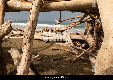 Driftwood Beach Shack am Moonstone Beach in Cambria, Kalifornien. Stockfoto