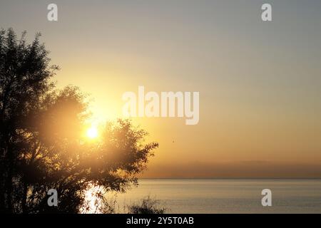 Heller Sonnenaufgang, der durch Äste an der Küste blickt und ein goldenes Leuchten über das ruhige Wasser und die friedliche Küste wirft. Stockfoto