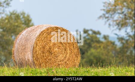 Ein geernteter Heuballen auf einem Feld mit verschwommenem Hintergrund in Warren County, Pennsylvania, USA an einem sonnigen Sommertag Stockfoto
