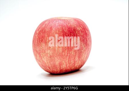Ein roter Apfel isoliert auf weißem Hintergrund Stockfoto