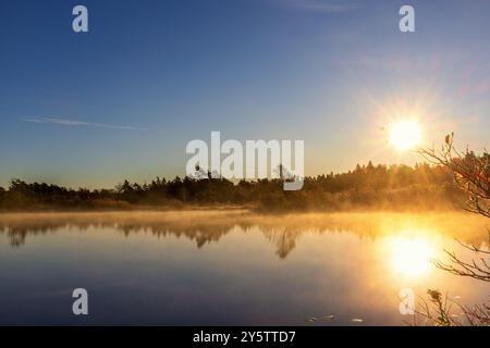 Die Sonne ging über einem Waldsee mit Nebel und Wasserreflexionen auf Stockfoto