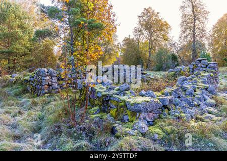 Alte Hausruine in einer Lichtschicht, Laubwald mit Herbstfarben Stockfoto