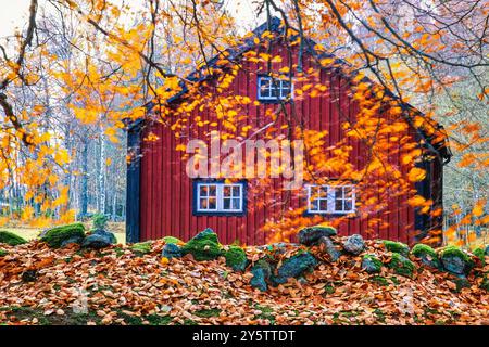Herbstlaub auf den Zweigen bei einem roten Haus Stockfoto