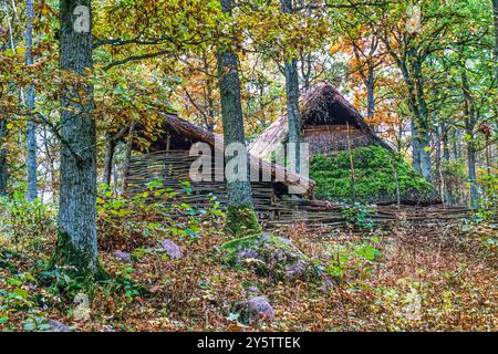 Steinzeitliche Siedlung in einem Wald im Herbst Stockfoto