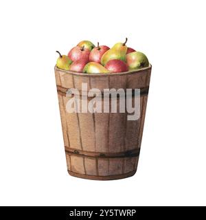 Hölzerne Garteneimer gefüllt mit frischem saftigem Apfel- und Birnenfrüchten. Handgezeichnete Aquarellillustration isoliert auf weiß. Für das Menü „Clip Art Cards“ Stockfoto