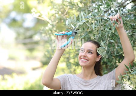 Glückliche Frau, die im Garten Olivenbäume beschneidet Stockfoto