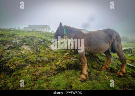 Prat d'Aguilo, sierra del Cadí, Naturpark Cadí-Moixeró, cordillera de los Pirineos, Lleida, Spanien Stockfoto