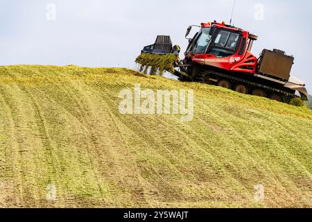 Pisten Bully 600 & 300 arbeiten an einem Maishaufen, der zur Biogaserzeugung genutzt wurde Stockfoto