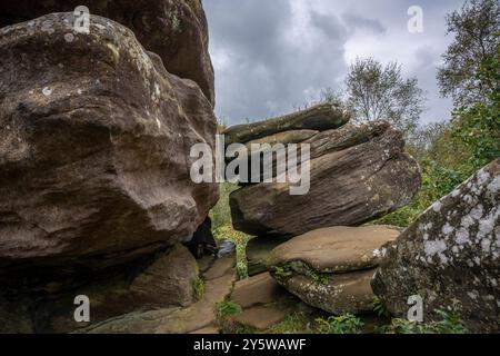 Brimham Rocks hat natürlich verwitterte Steine in der Nähe von Harrogate, North Yorkshire, Großbritannien Stockfoto