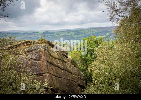 Brimham Rocks hat natürlich verwitterte Steine in der Nähe von Harrogate, North Yorkshire, Großbritannien Stockfoto