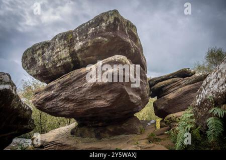 Brimham Rocks hat natürlich verwitterte Steine in der Nähe von Harrogate, North Yorkshire, Großbritannien Stockfoto