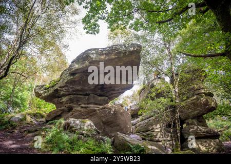 Brimham Rocks hat natürlich verwitterte Steine in der Nähe von Harrogate, North Yorkshire, Großbritannien Stockfoto