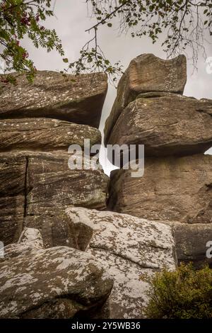 Brimham Rocks hat natürlich verwitterte Steine in der Nähe von Harrogate, North Yorkshire, Großbritannien Stockfoto