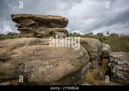 Brimham Rocks hat natürlich verwitterte Steine in der Nähe von Harrogate, North Yorkshire, Großbritannien Stockfoto