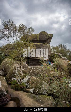 Brimham Rocks hat natürlich verwitterte Steine in der Nähe von Harrogate, North Yorkshire, Großbritannien Stockfoto