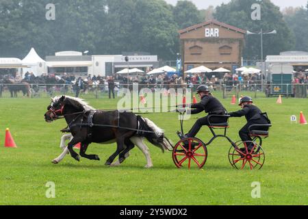 Rennrennen in der Arena bei der Newbury Show, Berkshire, England, Großbritannien, im September 2024 Stockfoto