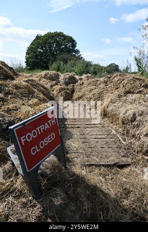 Hofdünger Stockfoto