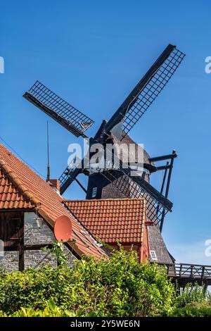 Windmühle von Lemkenhafen auf der deutschen Ostseeinsel Fehmarn, Europa, an einem sonnigen Sommertag. Stockfoto