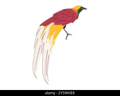 Paradiesvogel Cendrawasih Paradisaeidae Vogel gefährdete Tier Tierwelt Fauna seltene einzigartige Ost Indonesien Design Illustration Stock Vektor