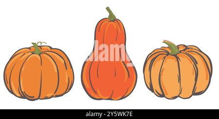 Satz von einfachen Herbstkürbissen. Drei handgezeichnete Kürbisse in warmen natürlichen Farben isoliert auf weiß. Illustration für Halloween, Thanksgiving des Stock Vektor