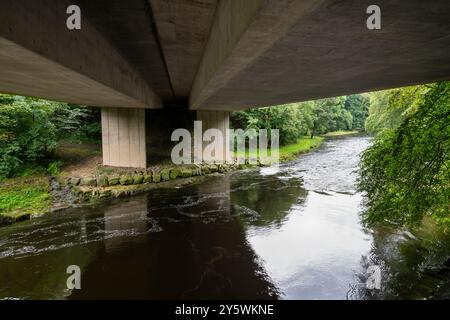 Der Fluss Kent fließt unter der zweispurigen A591 bei Kendal in Cumbria, England. Stockfoto