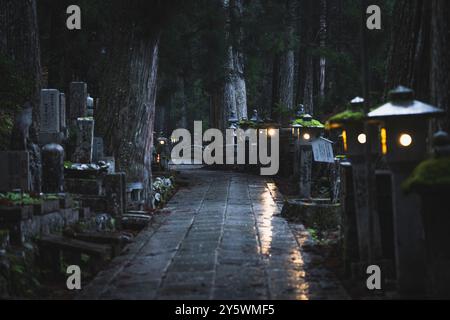 Okuno-in u Okunoin Friedhof Details im Herbst Stockfoto