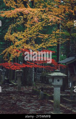 Okuno-in u Okunoin Friedhof Details im Herbst Stockfoto